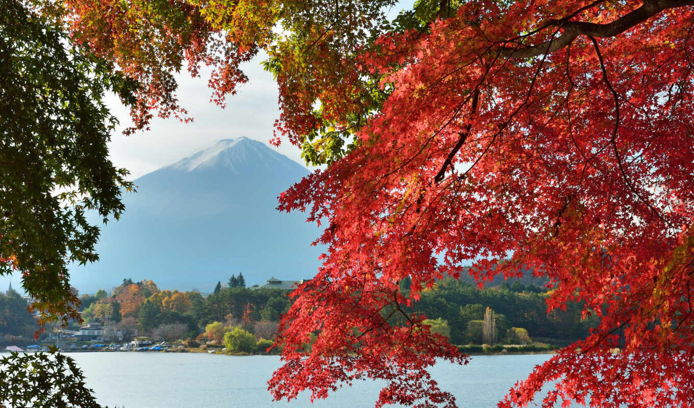 mountain, japanese, autumn, Japan, funart