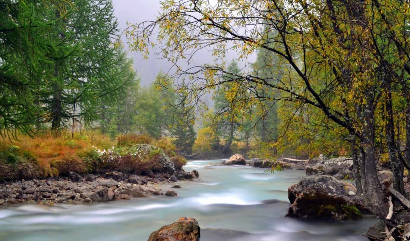 природа, телефон, лес, категории, осень, река, поток