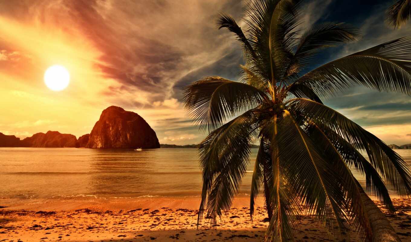 закат, пляж, ocean, palm, tropical