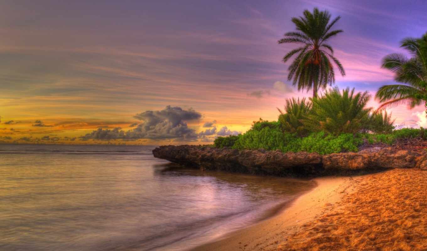 закат, пляж, море, palm, oir