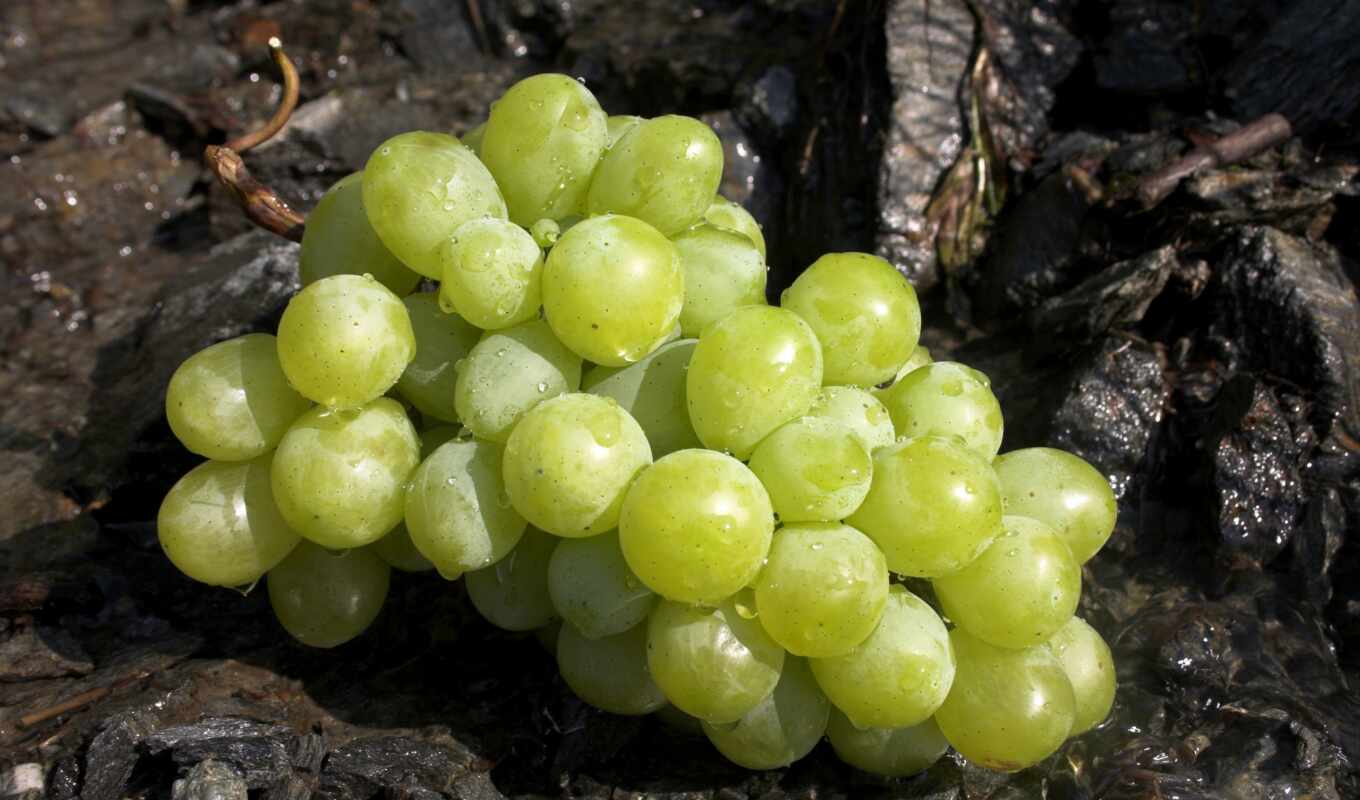 green, grape