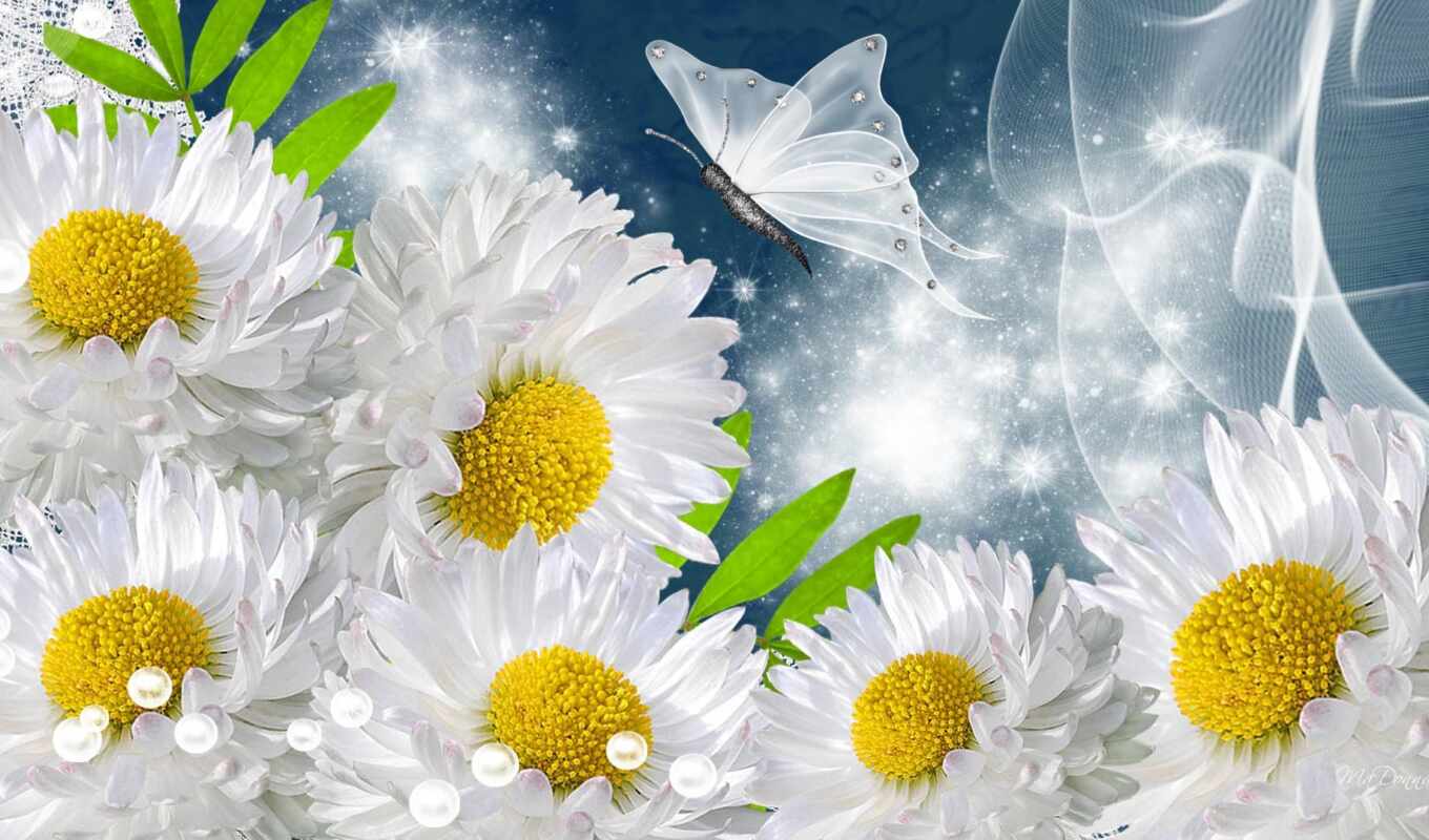 flowers, white, silk, daisy