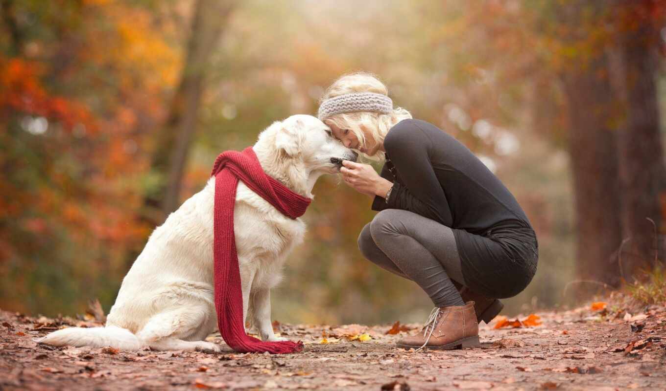 фото, девушка, женщина, собака, animal, пасть, retriever, pet, идея