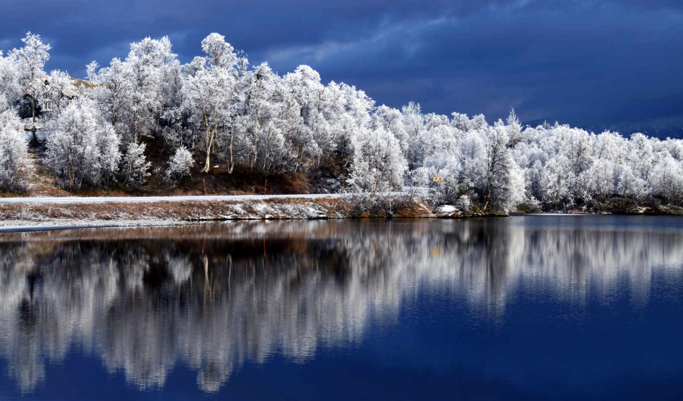 lake, nature, sky, tree, winter, forest, fore