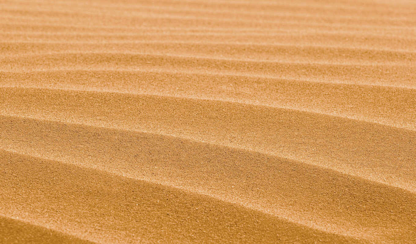 песок, twitter, dune, citoyen
