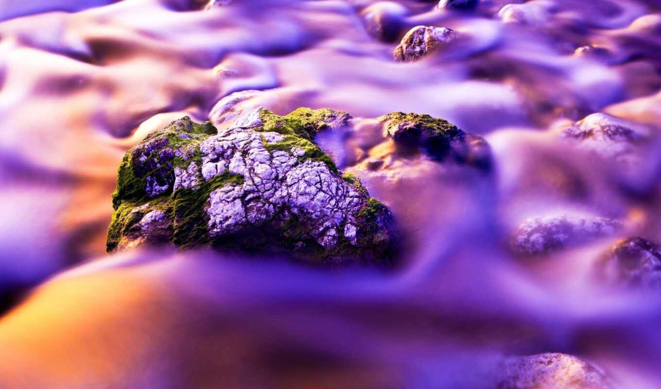 purple, sea, fog