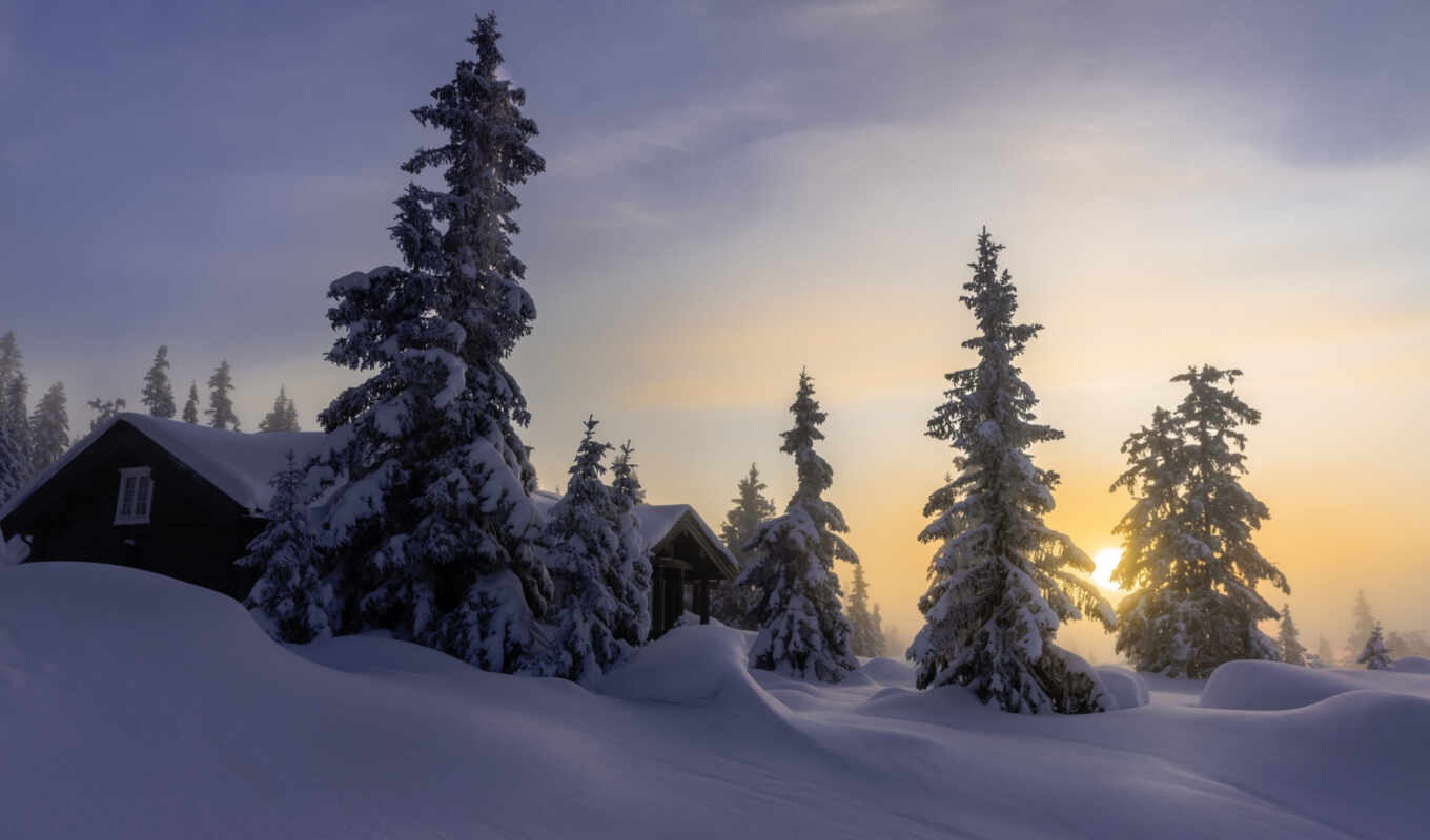 природа, небо, house, снег, рассвет, winter, утро, allan, елка, jorn, pedersen
