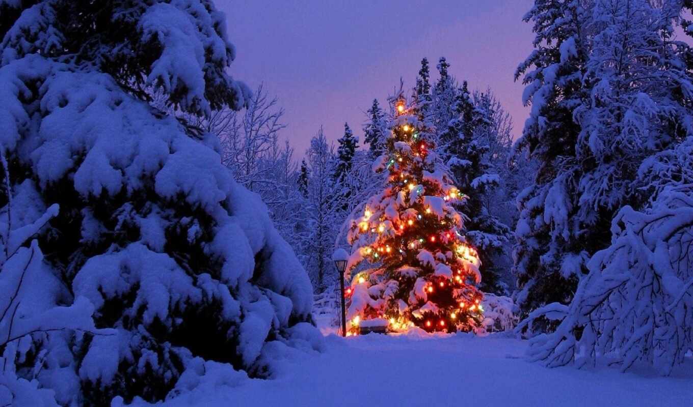 mobile, фон, cool, дерево, new, снег, год, christmas, scenery, snowy