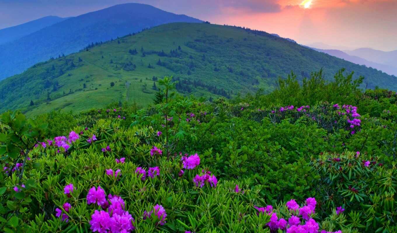 nature, scheme, sunset, mountain, landscape, color, beautiful, cvety