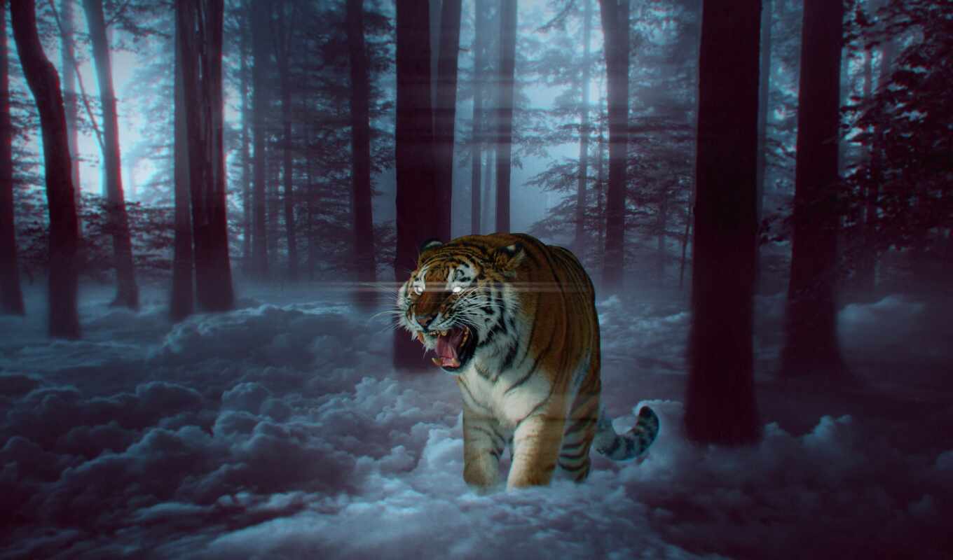nature, mobile, forest, butterfly, fire, photoshop, tiger, shank, permission, fore