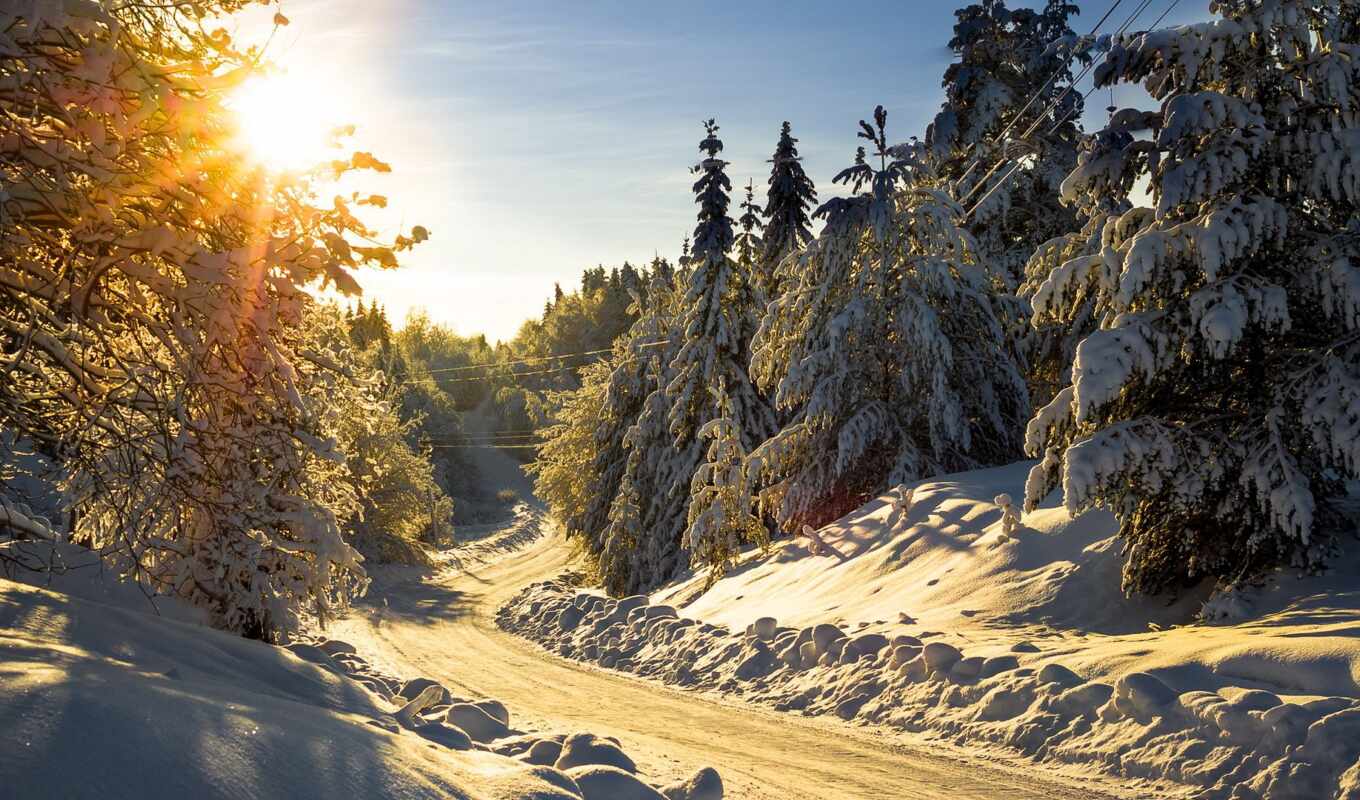 природа, снег, winter, лес, гора, time, красивый, дорогой, postcard, заснеженный