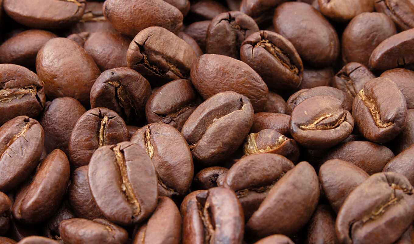coffee, bean