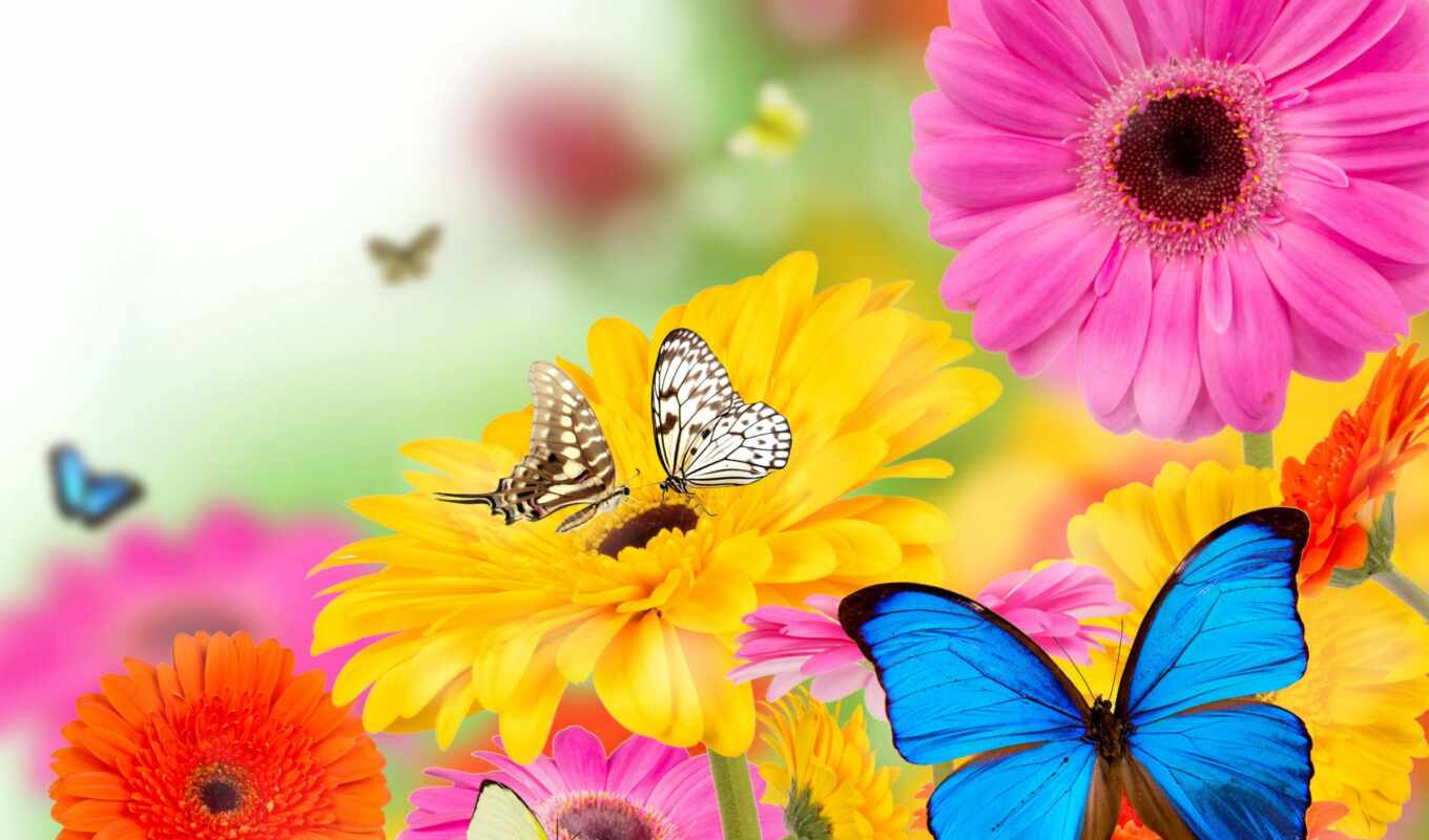 flowers, весна, butterflies