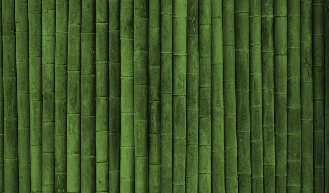 ipad, текстура, картинка, зелёный, бамбук, текстуры