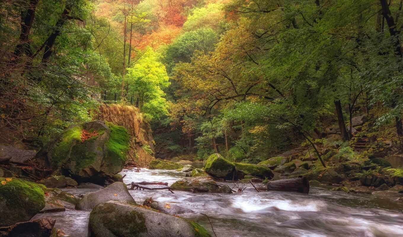 see, осень, fantasy, река, into, поток, ручей, pixabay, приток, fore