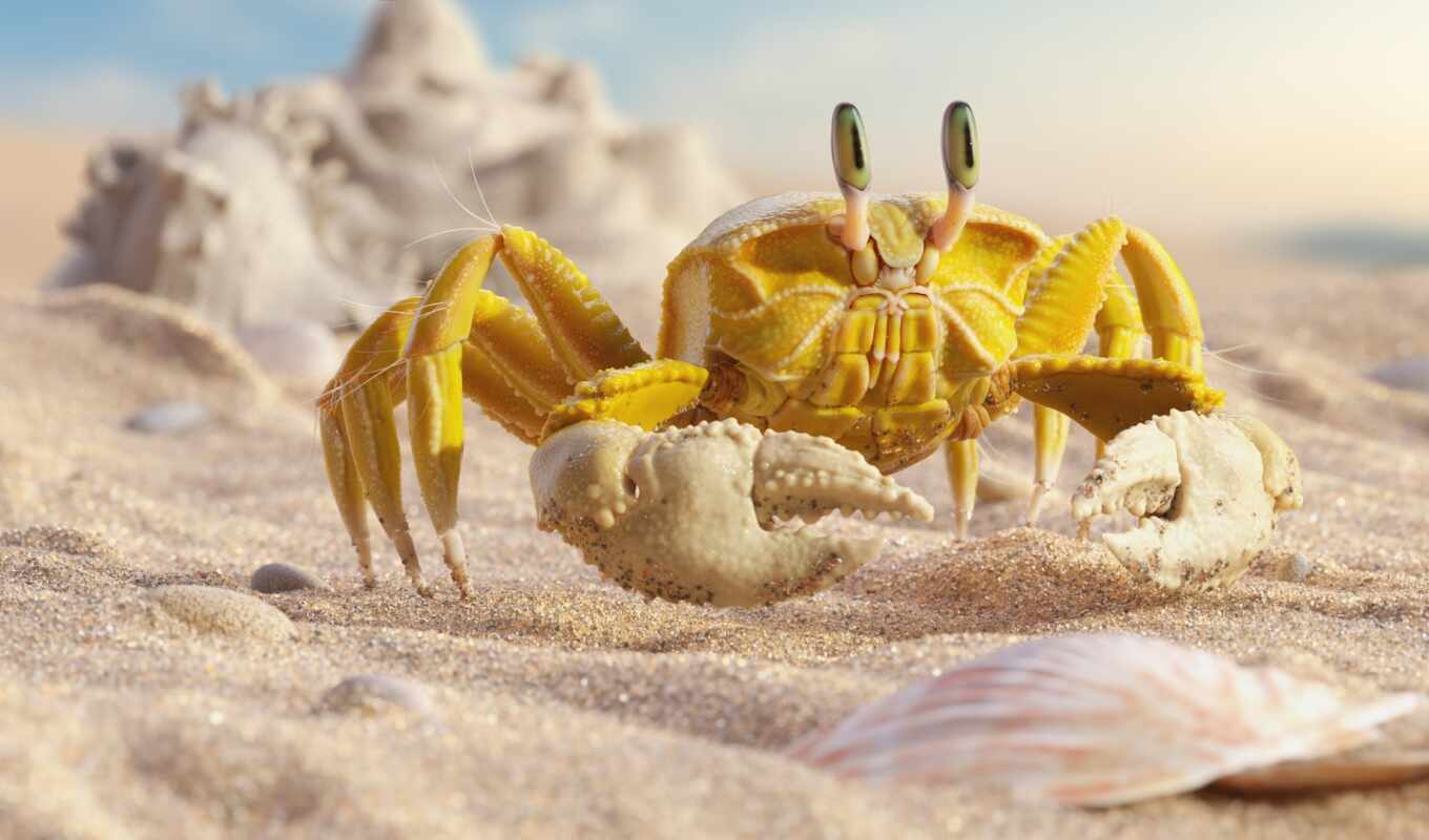 yellow, арт, crab