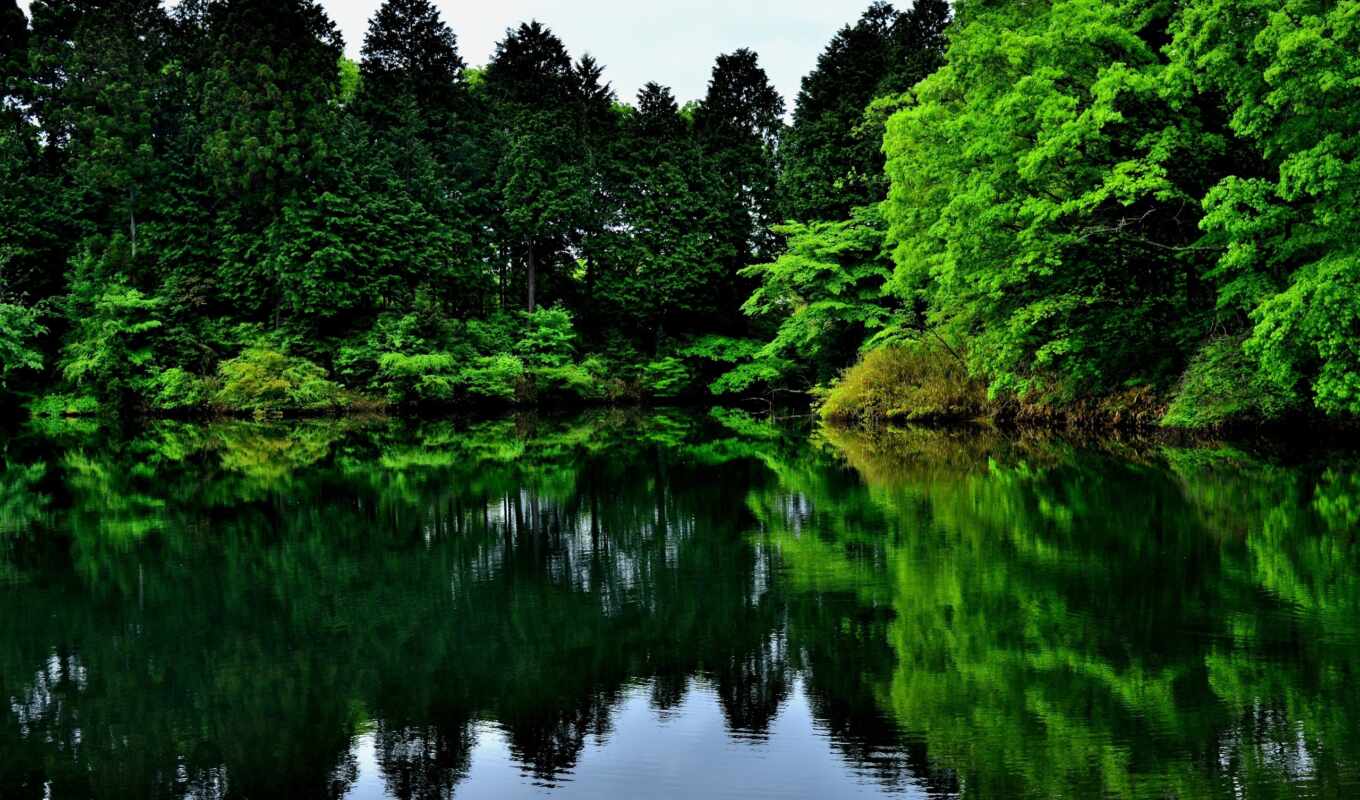 озеро, природа, картинка, фотографий, japanese, trees, закаты, горы