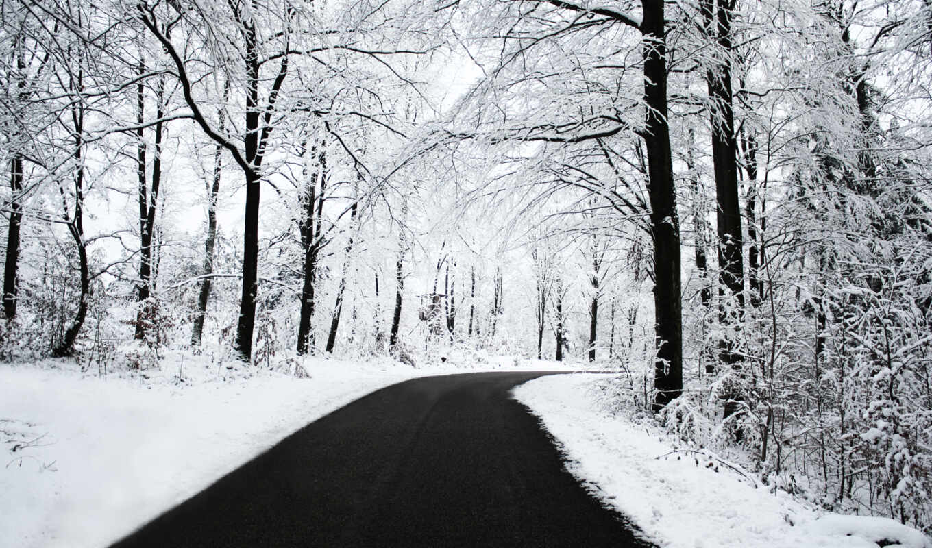 пейзажи -, снег, winter, лес, дорога, landscape, дороги, лесу, trees, автомобильная