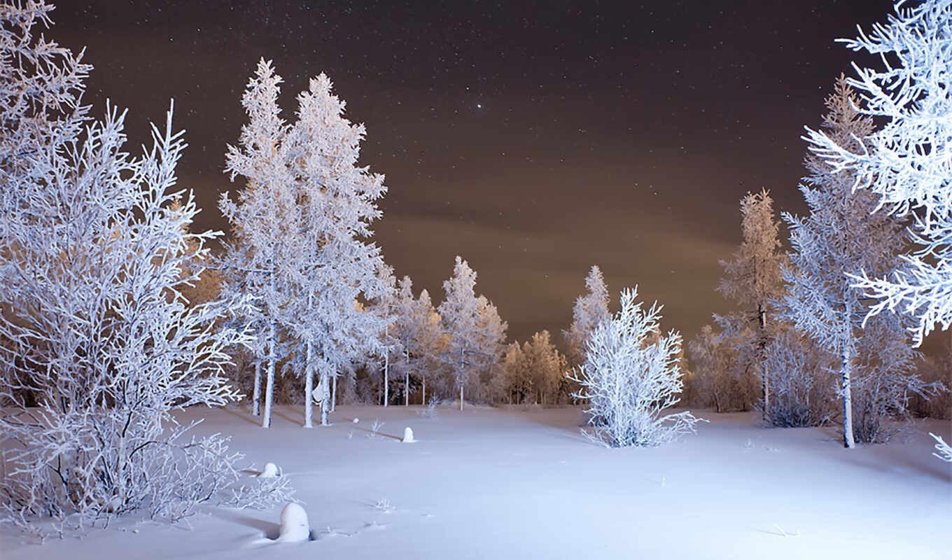 ночь, снег, winter, лес, oir
