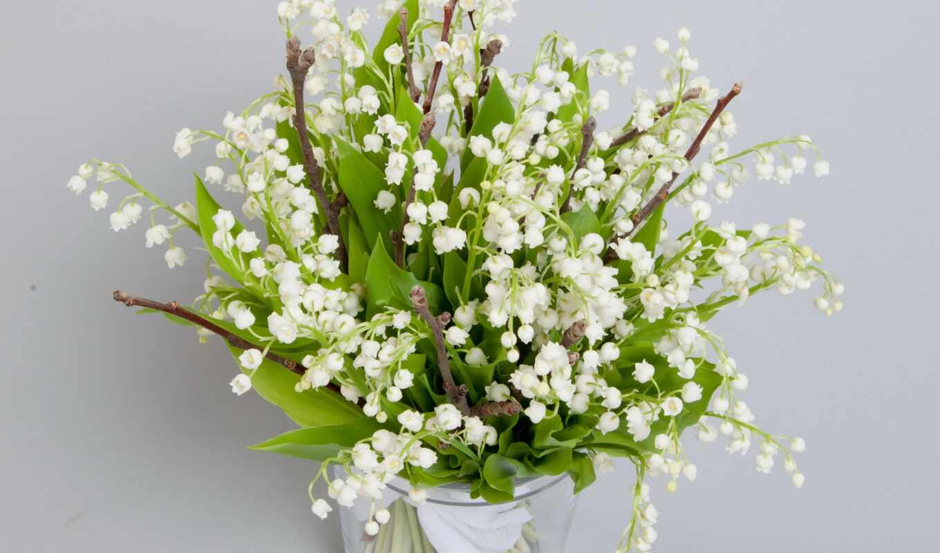 white, flowers, lilies of the valley, bouquet, lily, valley, lilies, cvety