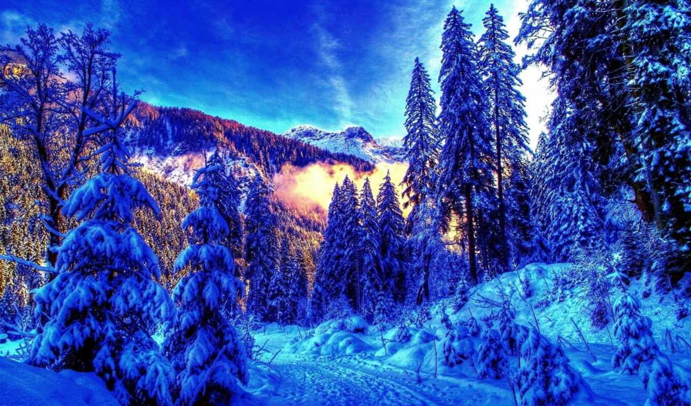 природа, снег, winter, лес, дорога, landscape, утро, горы