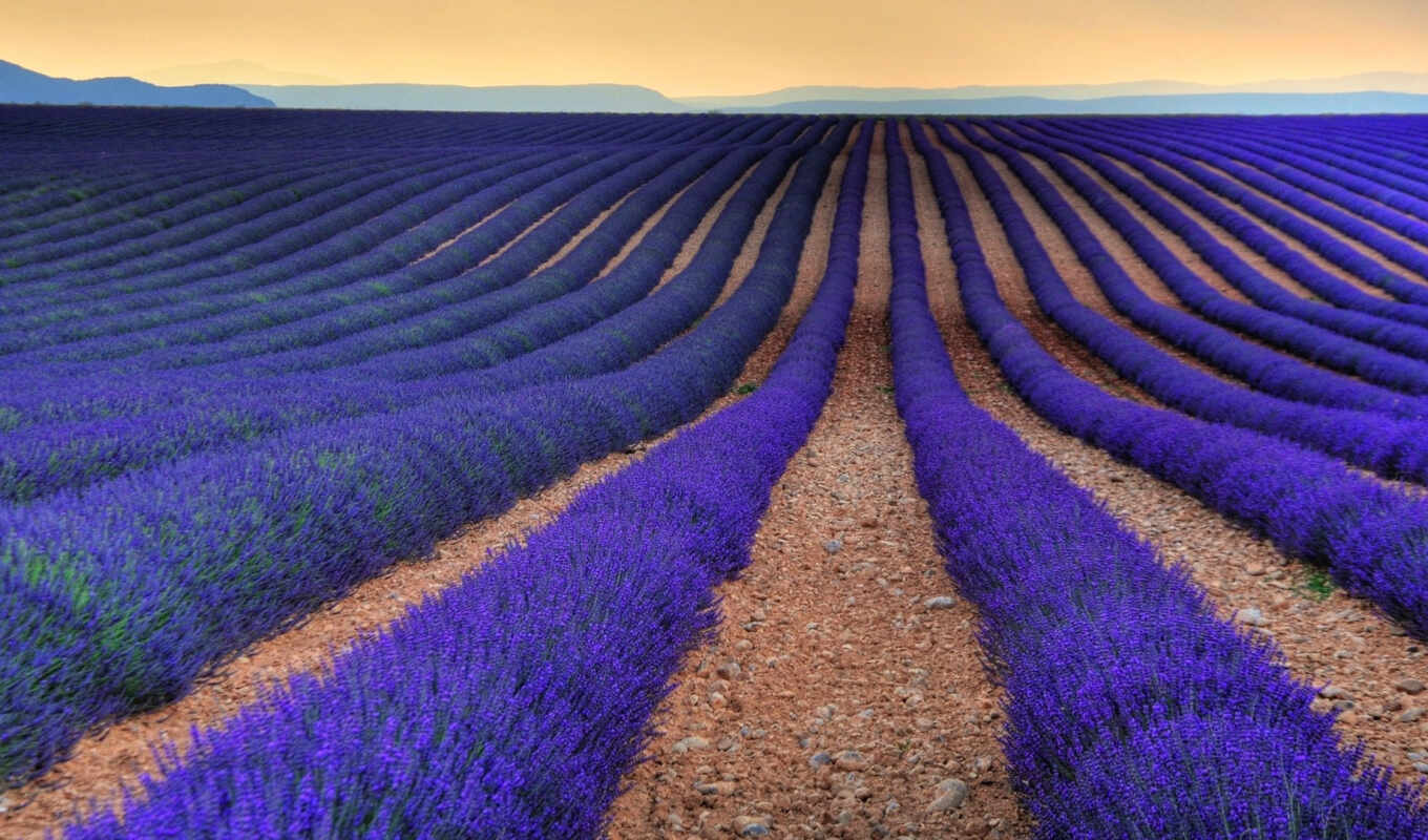 поле, франция, поля, pinterest, lavender, flickr, прованс, aix