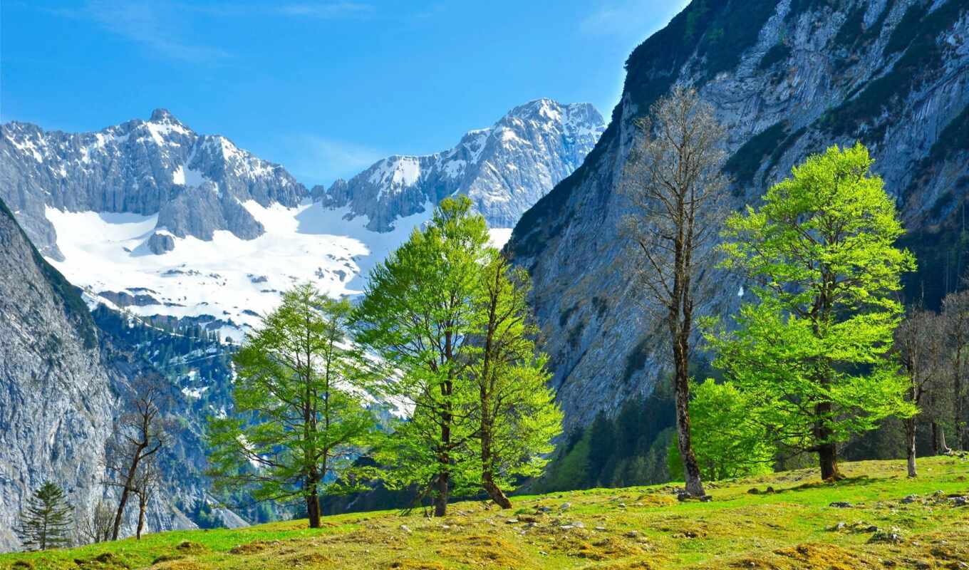австрия, imagenes, naturaleza, gratis, montañas, paisaje, rboles, hierba, тироль