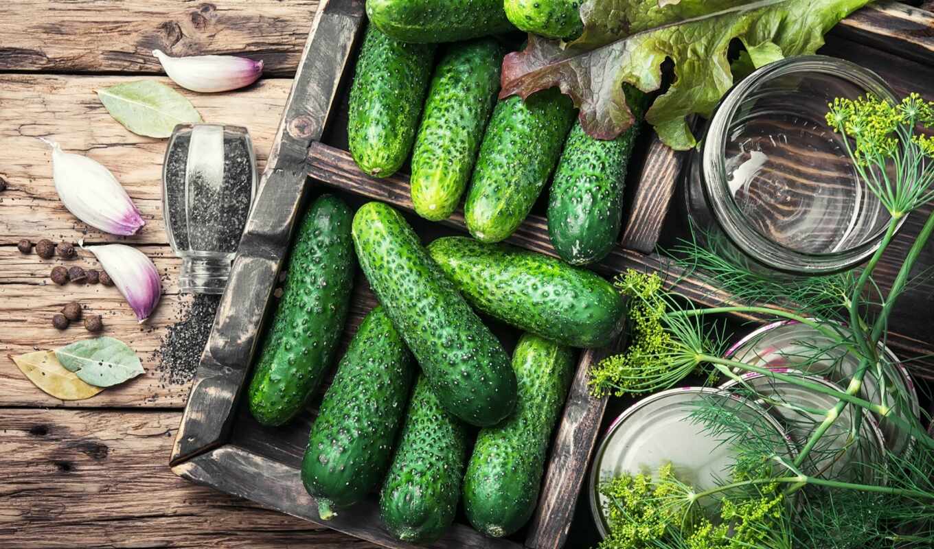 the benefit, cucumber, useful, calority