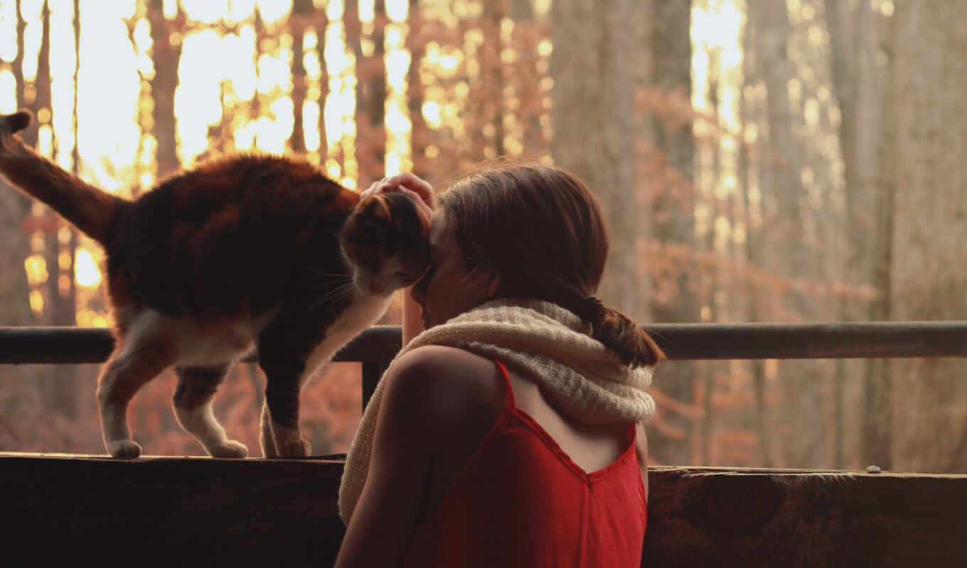 девушка, love, женщина, кот, cute, kitty