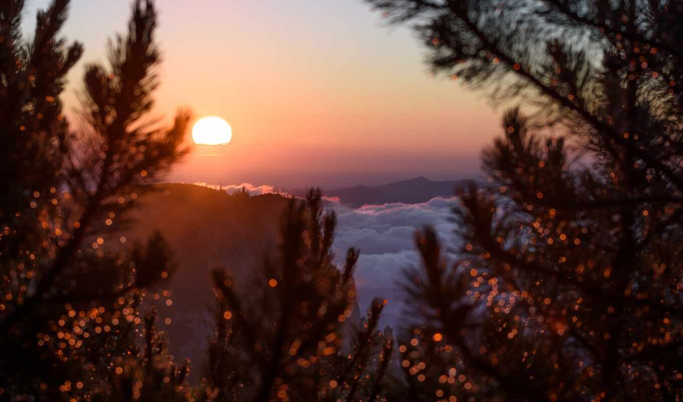 дерево, закат, гора, облако, branch, сол, восход, dusk, romania, peakpxpage