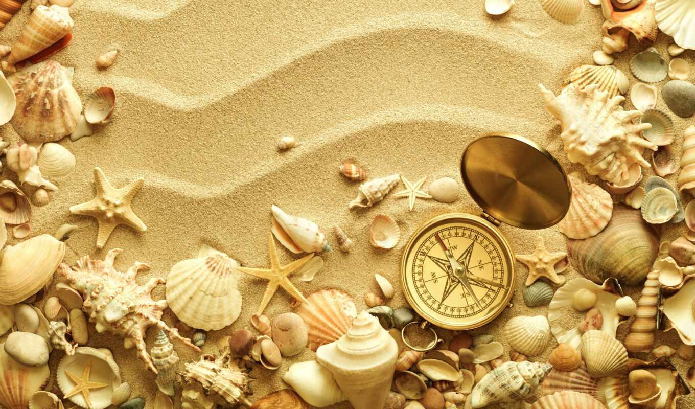 best, shell, космос, beach, песок, pack, про, звезды, изображения, ракушки, морские, компас, раковины, мореплавание