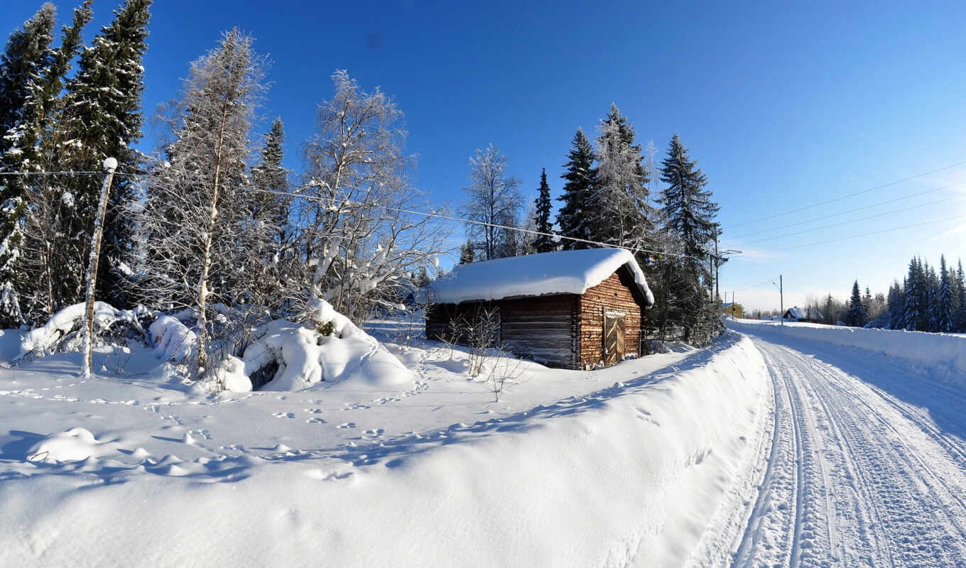 природа, free, снег, winter, trees, kartinik