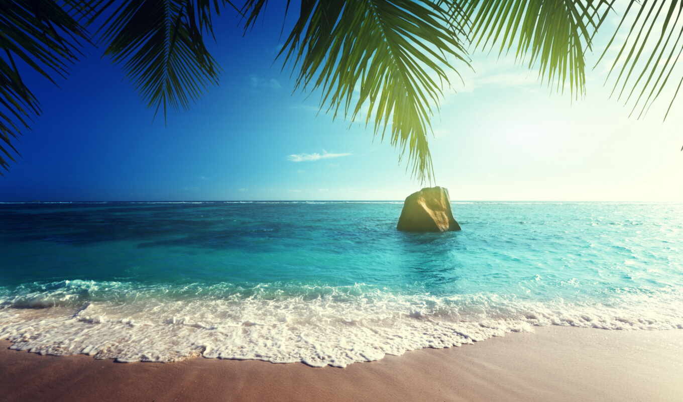 summer, sun, beach, sea, sand, ocean, tropical, tropics