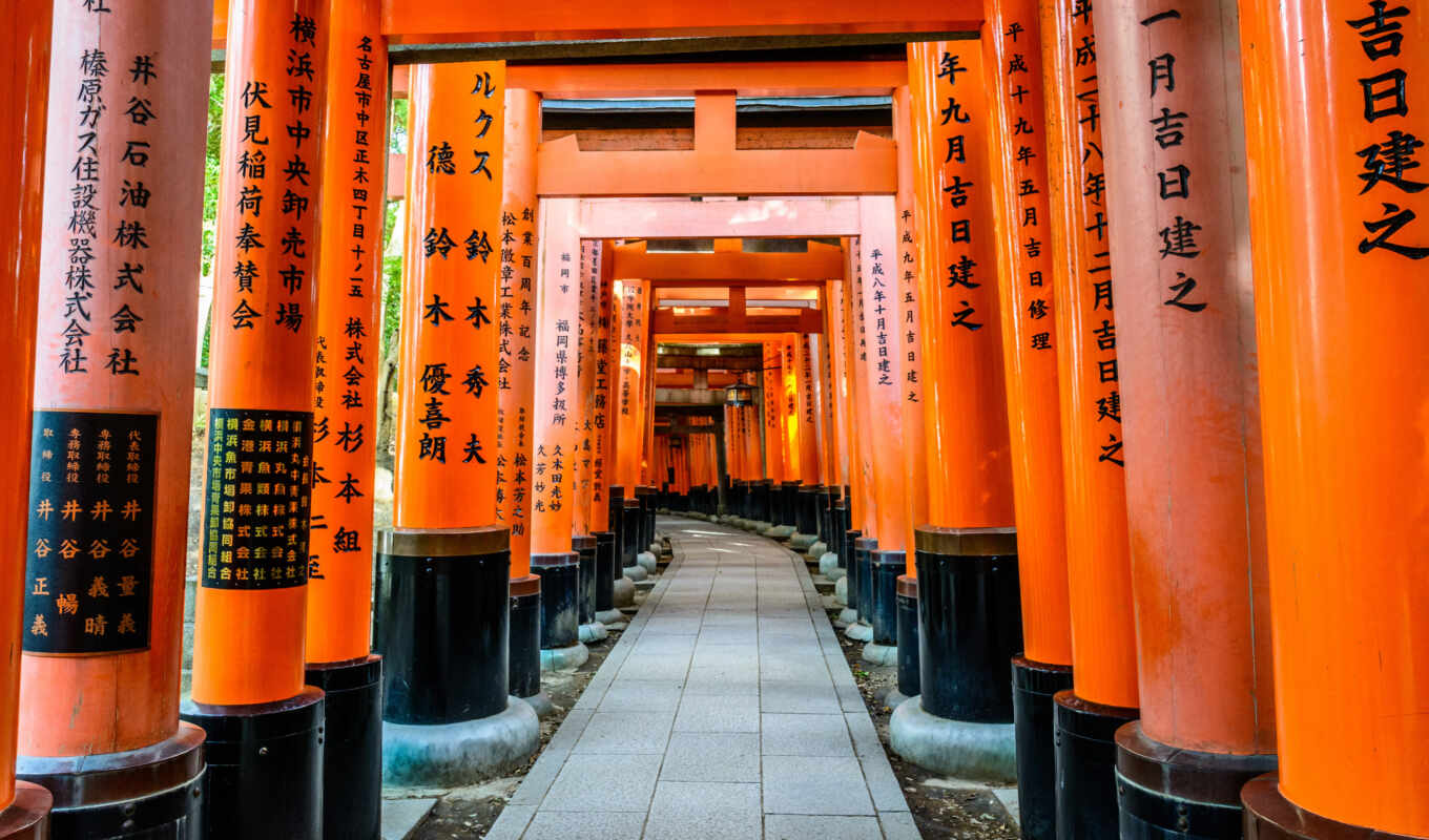 shrine, kyoto, fushimus, inari
