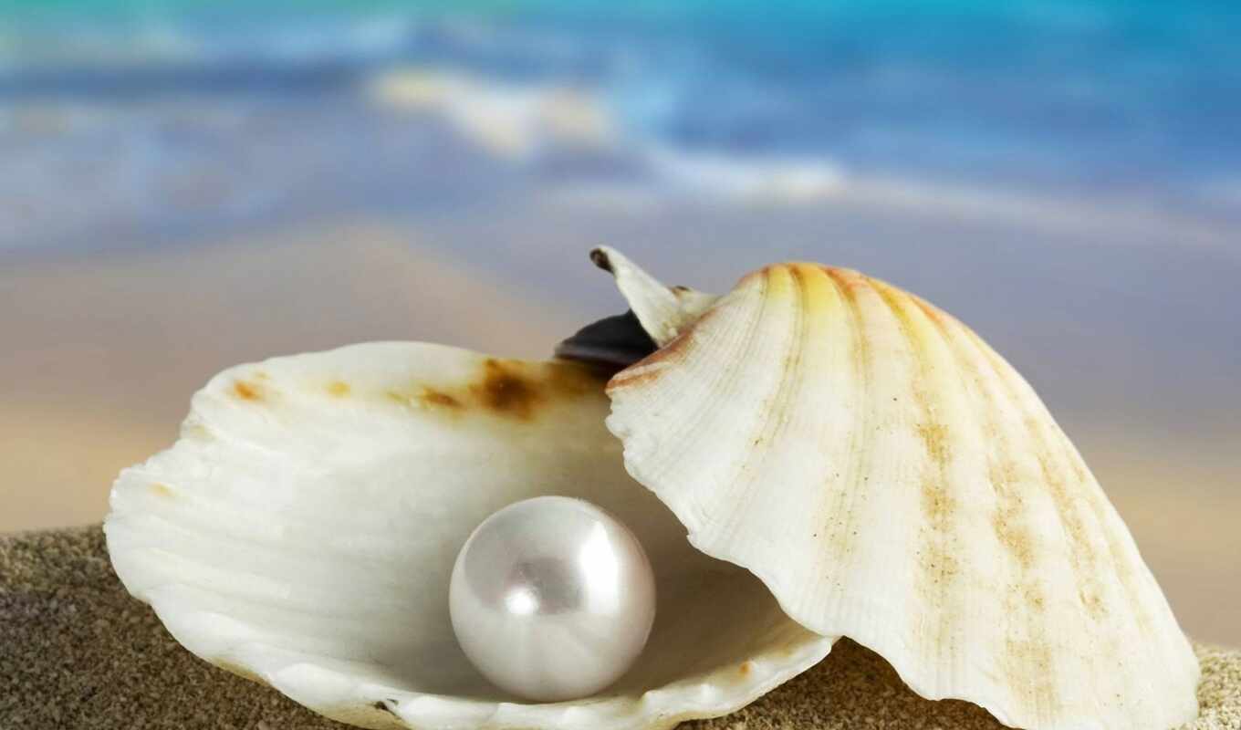 history, paula, gift, rest, life, washing, pearl, perle, makryi, coquille