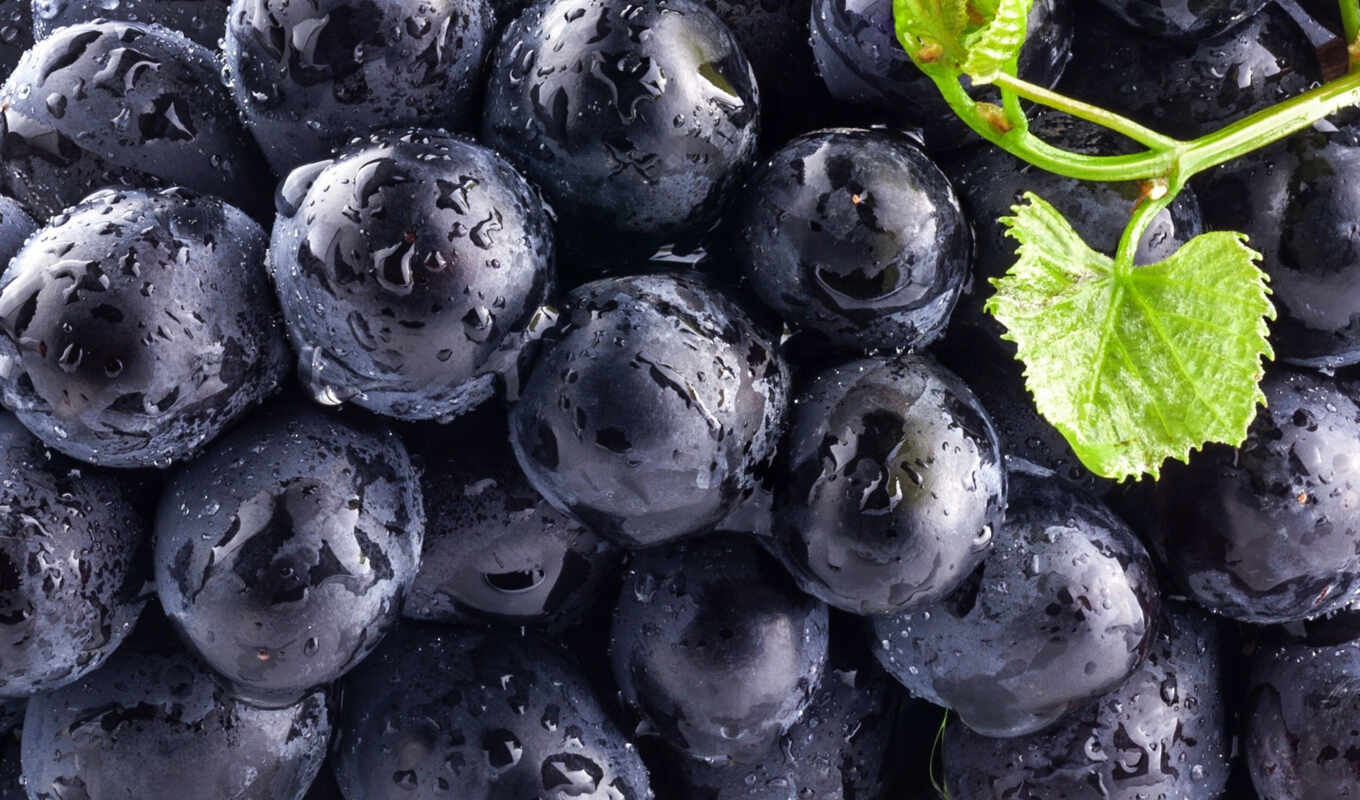 black, blue, daily, виноград, плоды, ягода