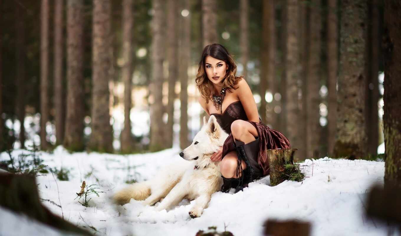 good, flowers, girl, snow, winter, forest, dog, dress, wolf, mood