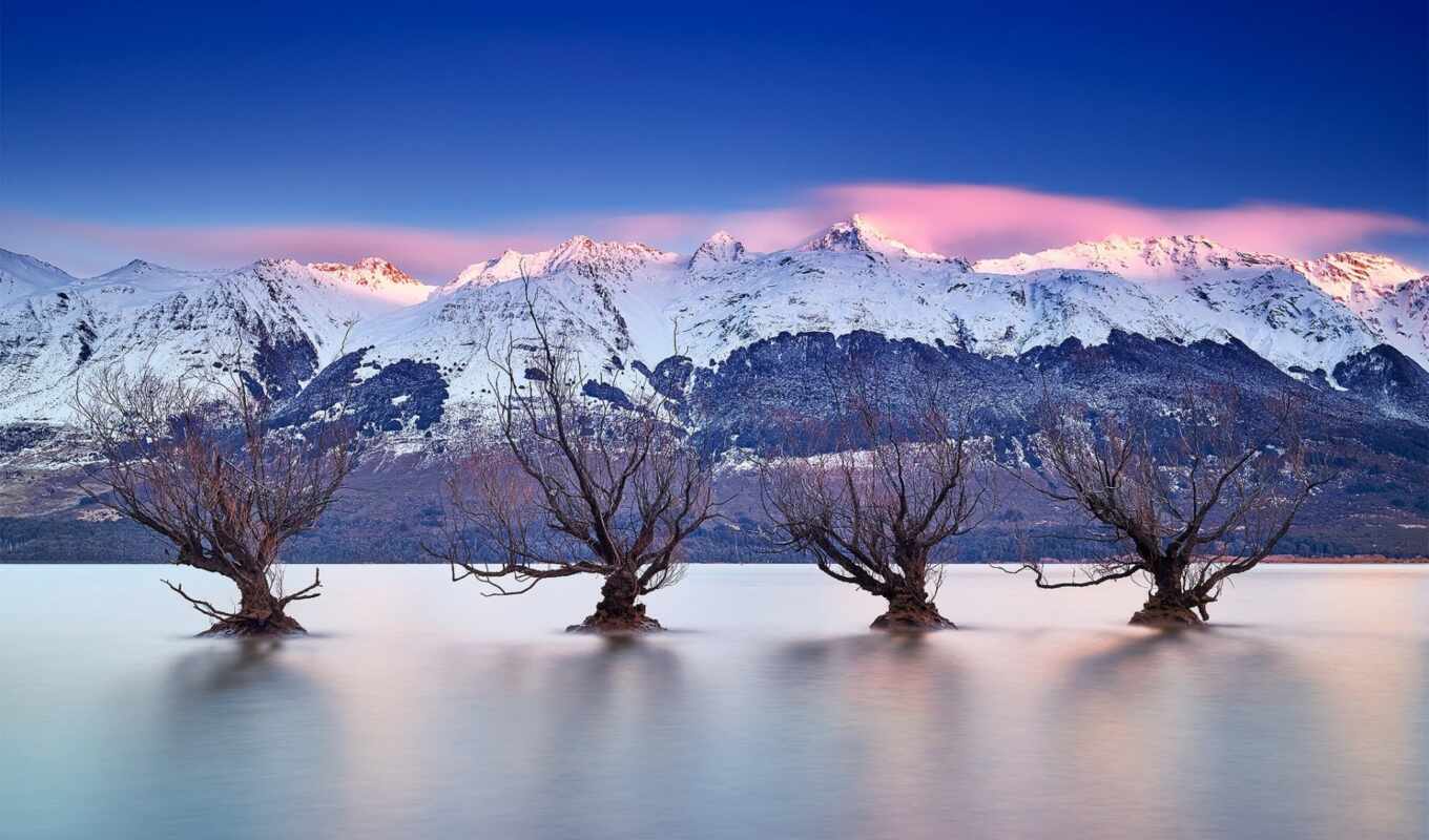 lake, with, winter, new, ivy, trees, zealand, water, mountains, glenorchi