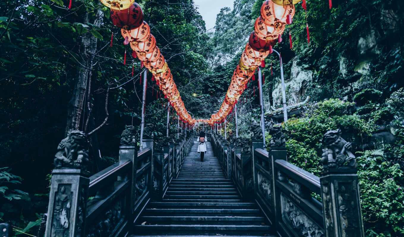 ipad, background, tree, view, beat, lantern, chinese woman, rare, climb, strawberry, stair