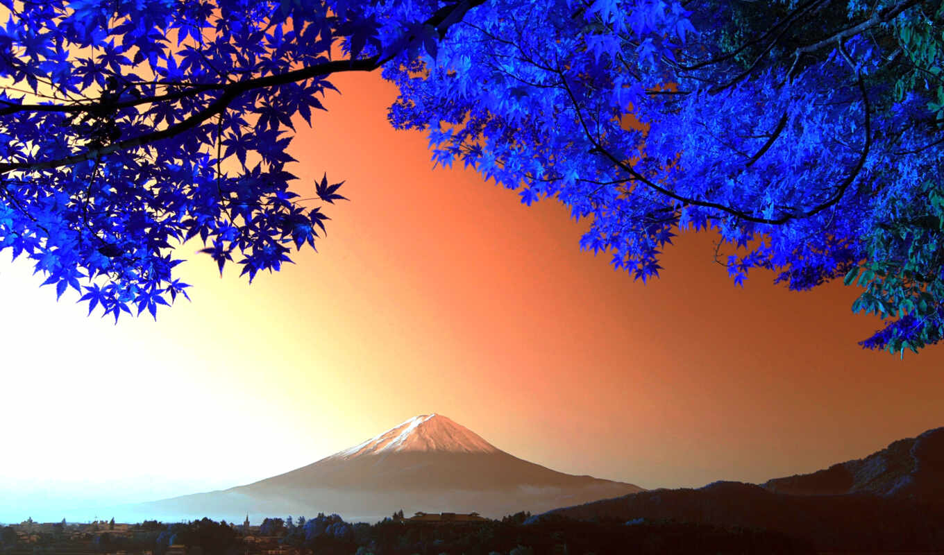 дерево, гора, japanese, осень, вулкан, фудзияма, ветки