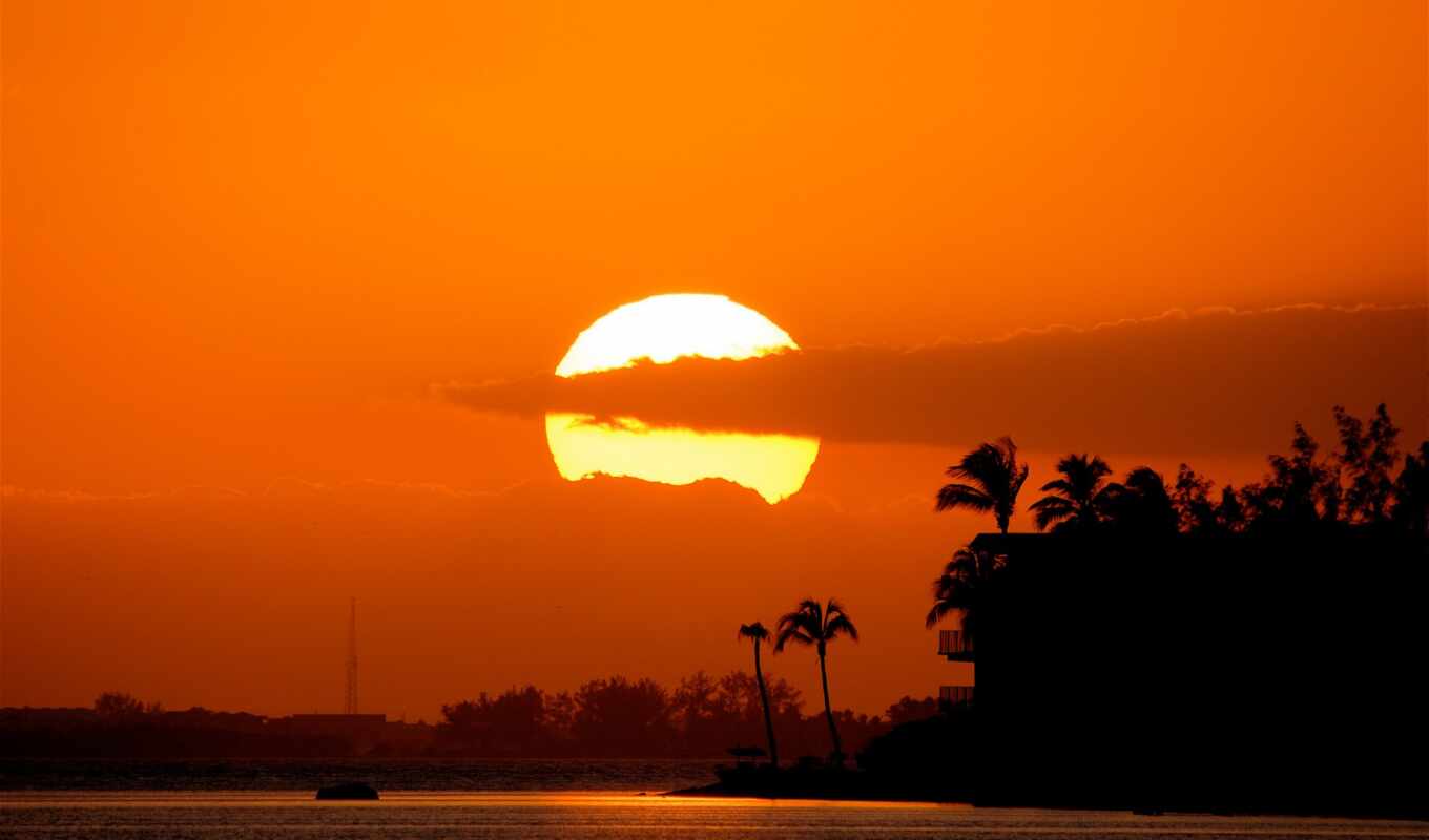 sun, sunset, palm trees, orange, south