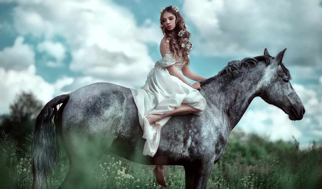 white, photographer, horse, leisure
