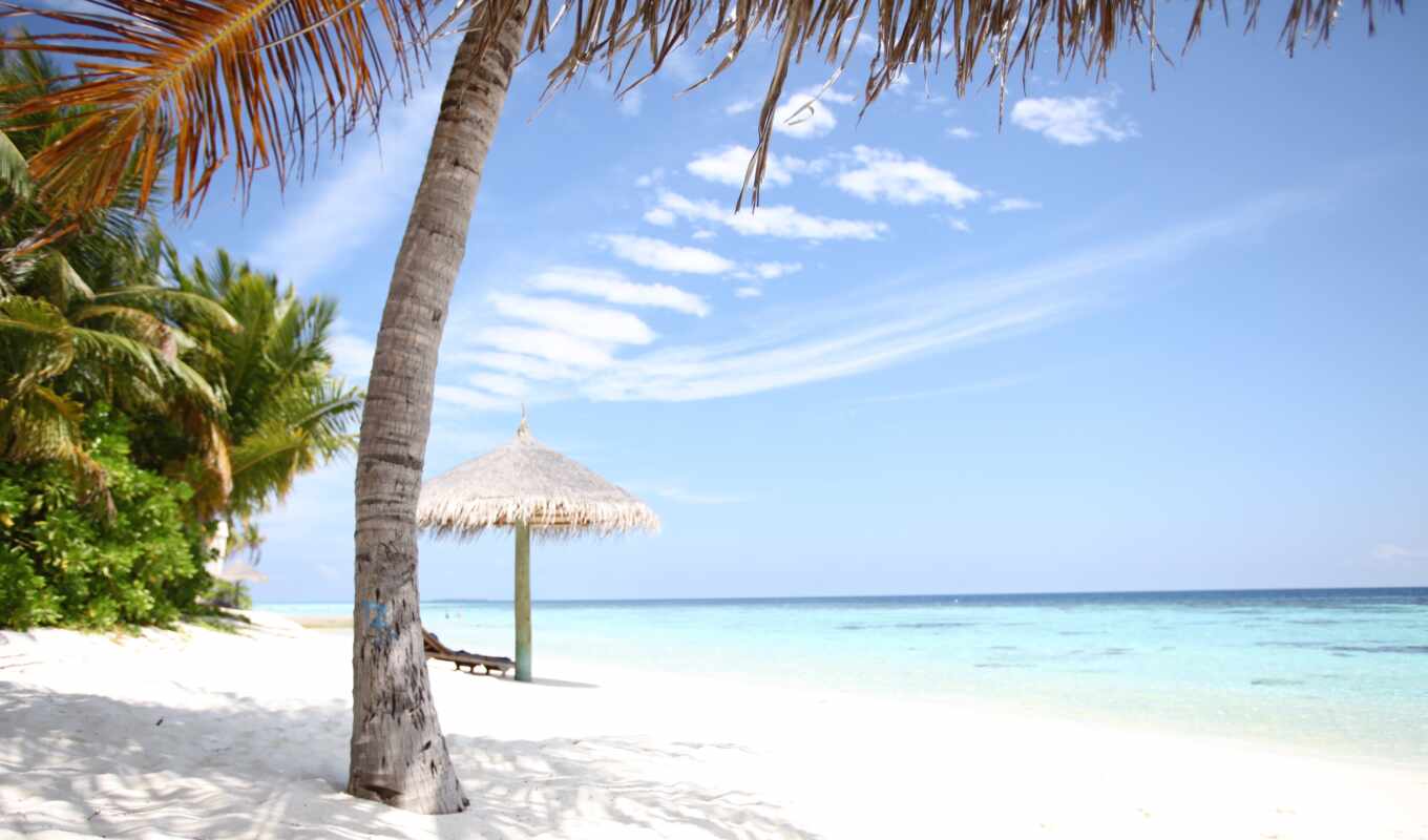 white, beach, hotel, sand, rest, february, maldives, lounge chair, dhigurah