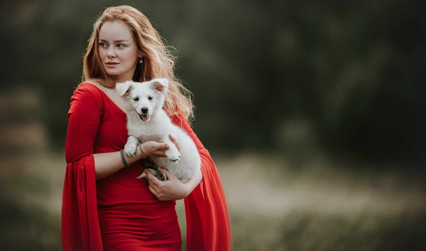 woman, red, model, dog, dress, puppy, mood, baby