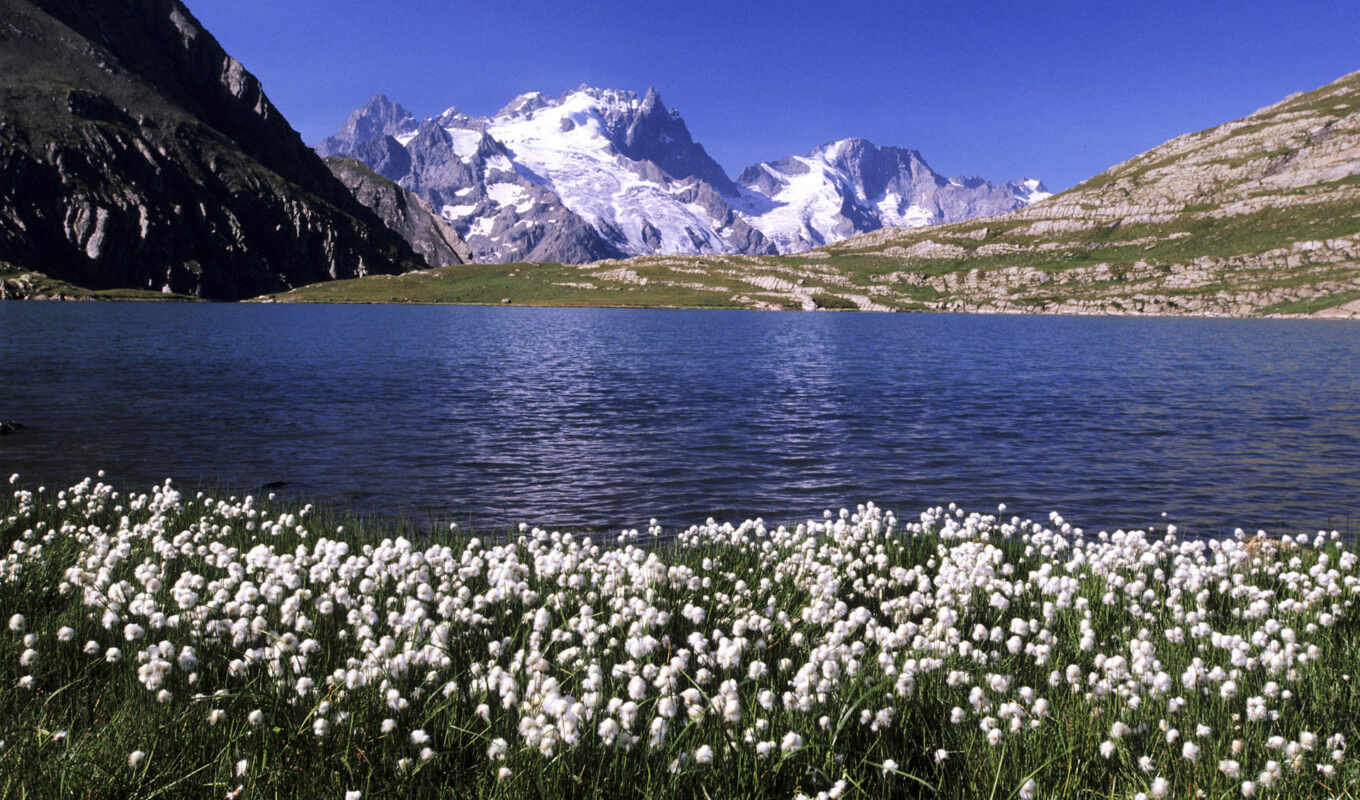 озеро, природа, красивые, гор, поляна, горное, горы