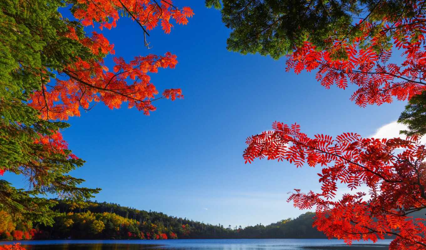 озеро, природа, landscape, осень