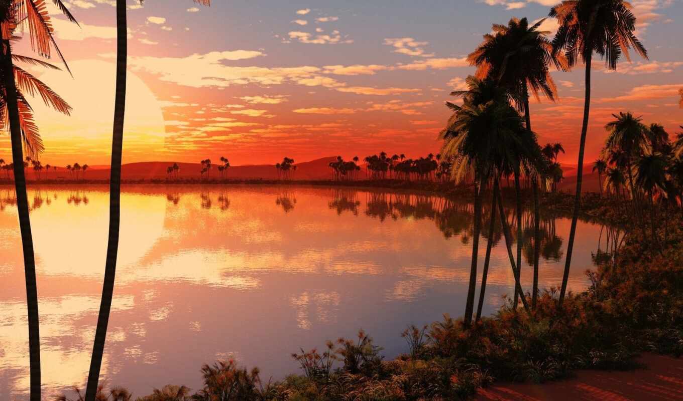 природа, desktop, графика, закат, красивая, пальмы, красивый, панорама