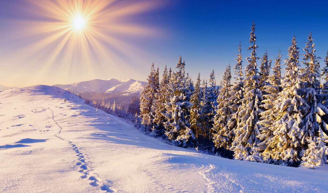 пейзажи -, зиму, зимние, добрым, утром, восхитительные, холода, погоду, переносите, трудом