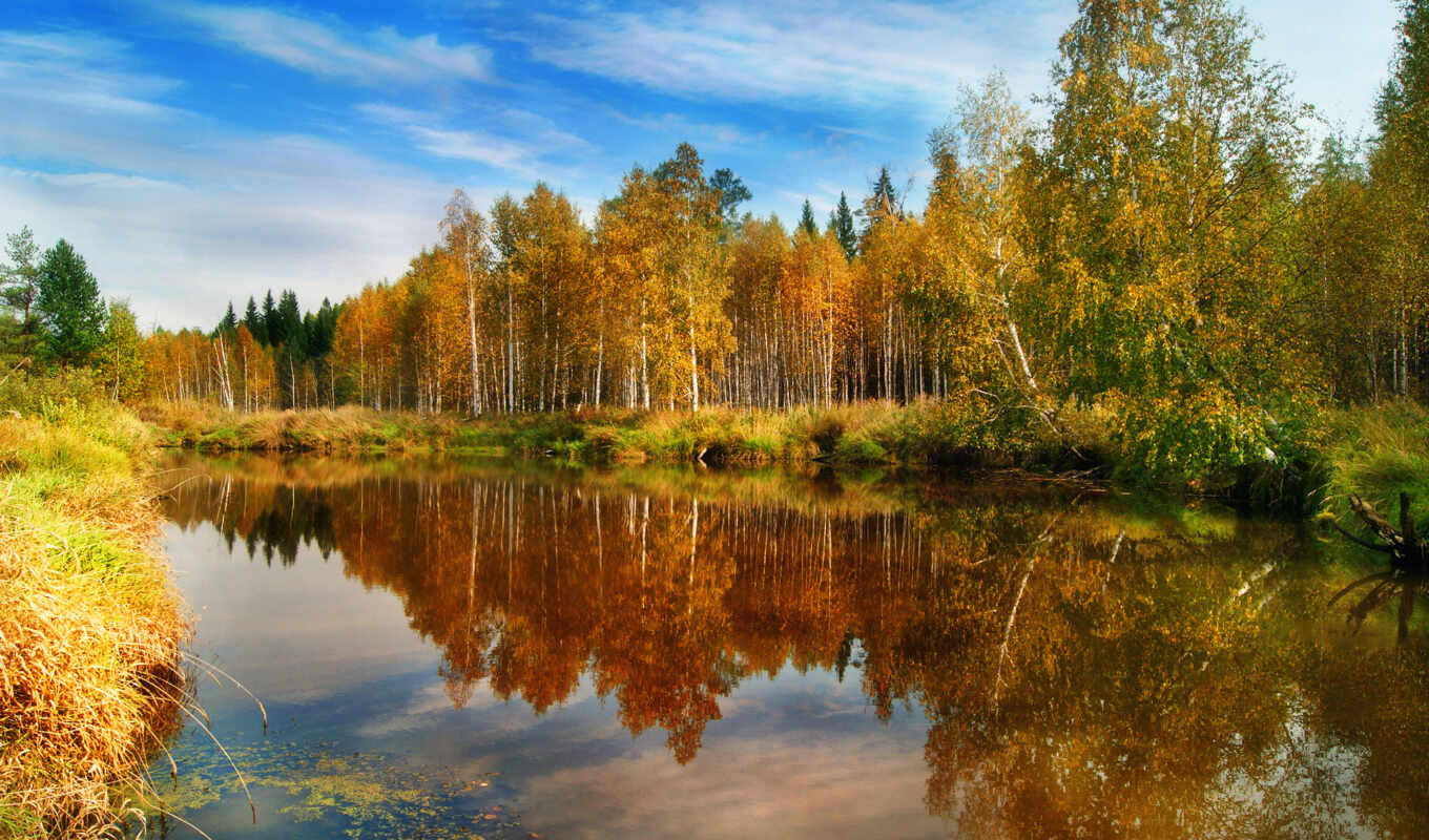 природа, water, лес, осень, отражения, река