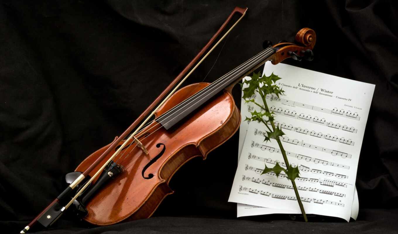 music, violin, note, forestry